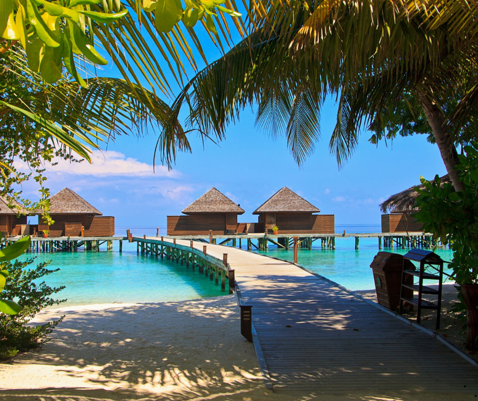 White Lotus Inspired Honeymoon Ideas
