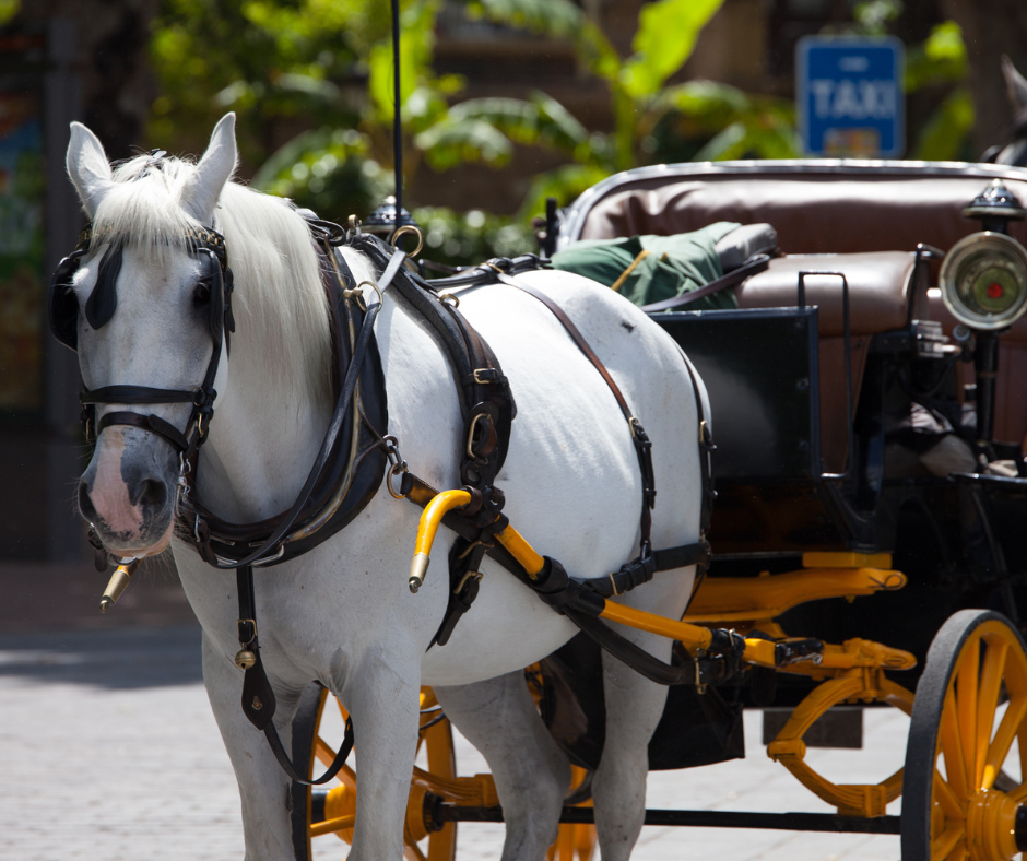 25 Romantic Things to Do in Philadelphia