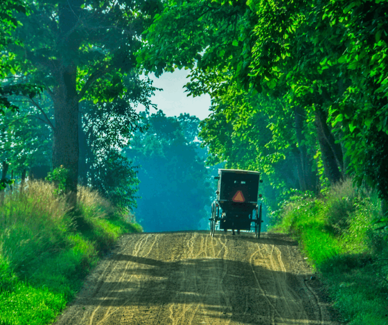 Things To Do in Lancaster - Amish Market